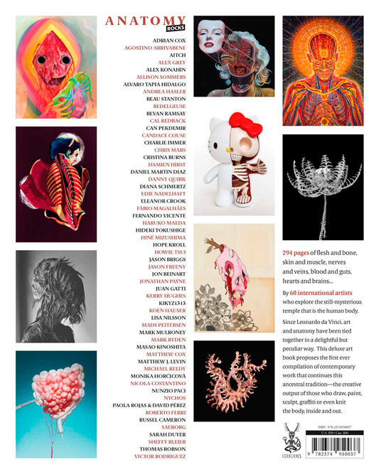 art books featuring thomas robson,  Anatomy Rocks, rear cover image 6