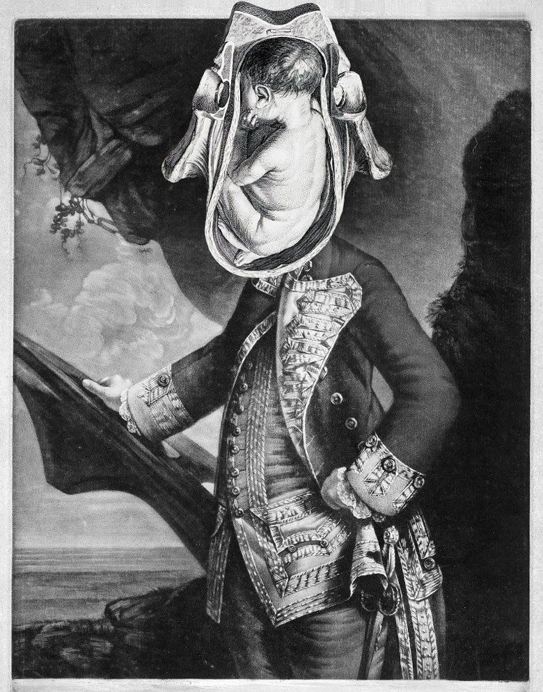 Still Lives Portraits The Morbid Portfolio image 2