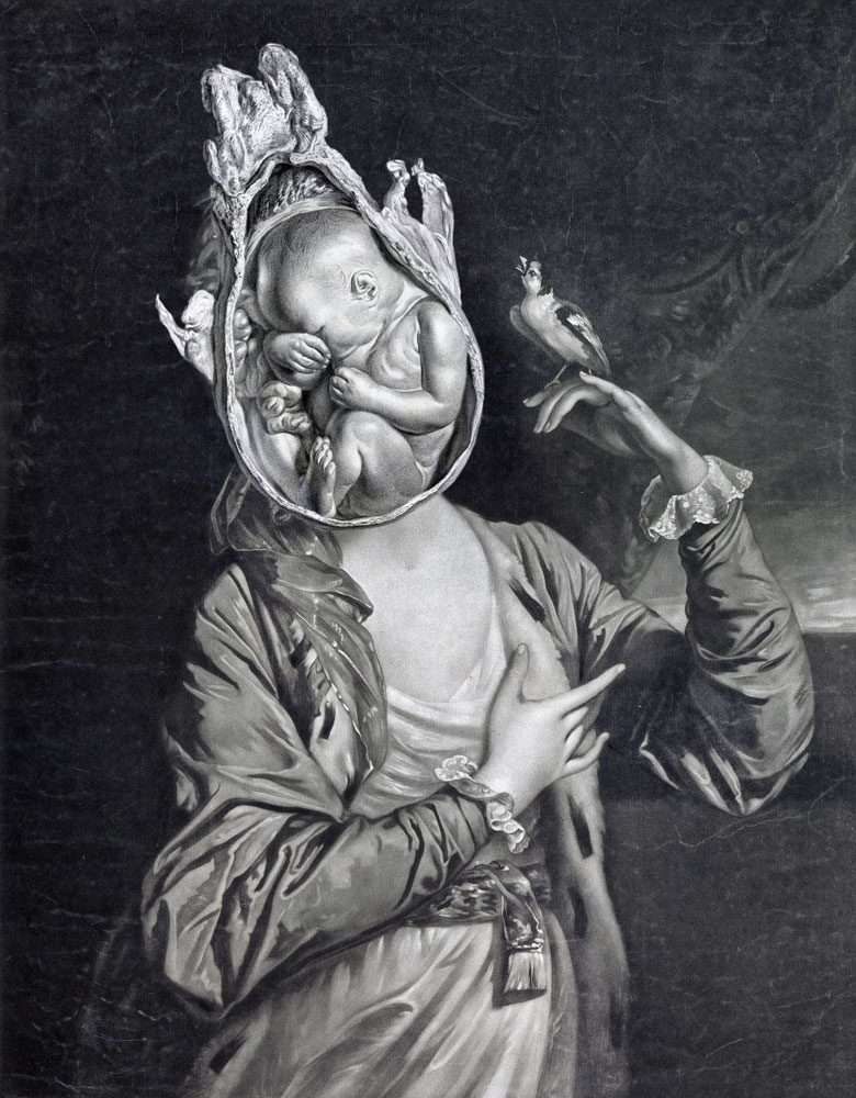 Still Lives Portraits The Morbid Portfolio image 4