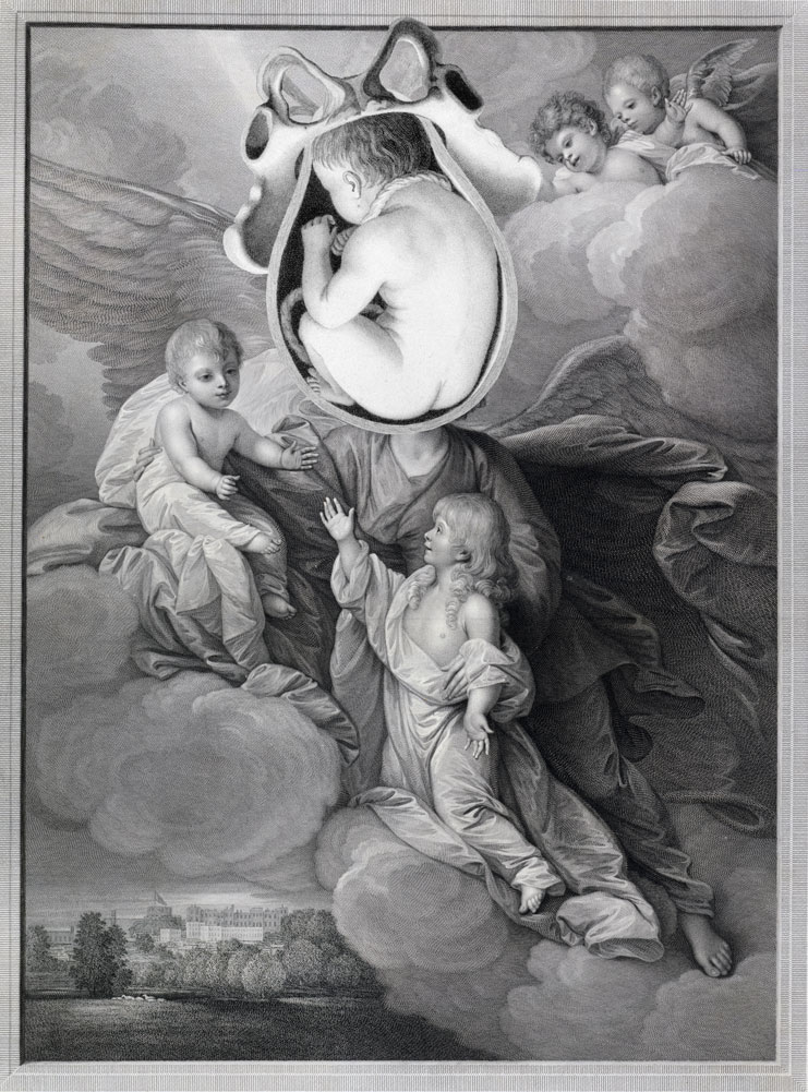 Still Lives Portraits The Morbid Portfolio image 5