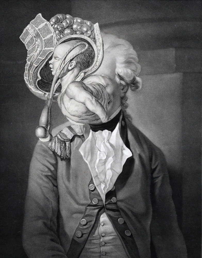 Still Lives Portraits The Morbid Portfolio image 7