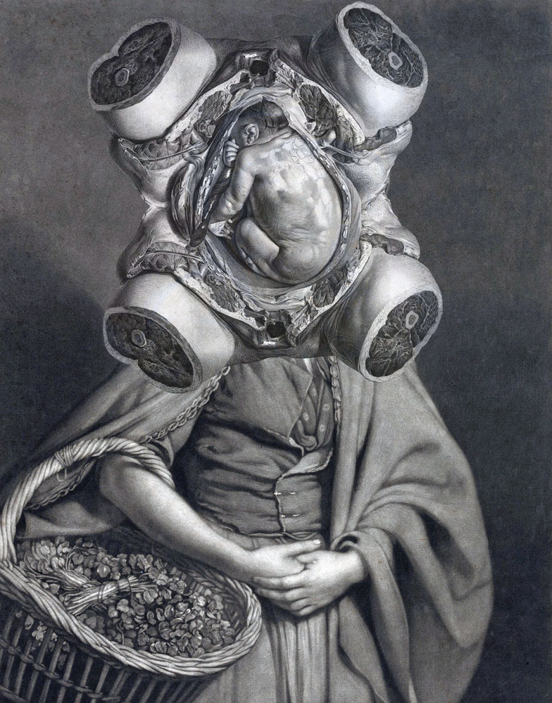 Still Lives Portraits The Morbid Portfolio image 14