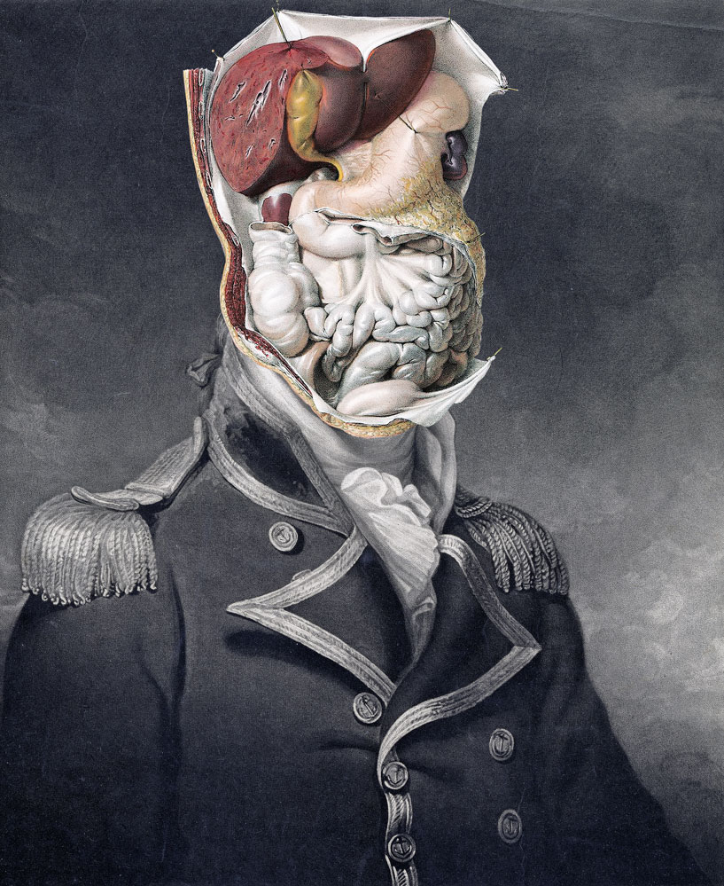 Still Lives Portraits The Morbid Portfolio image 17