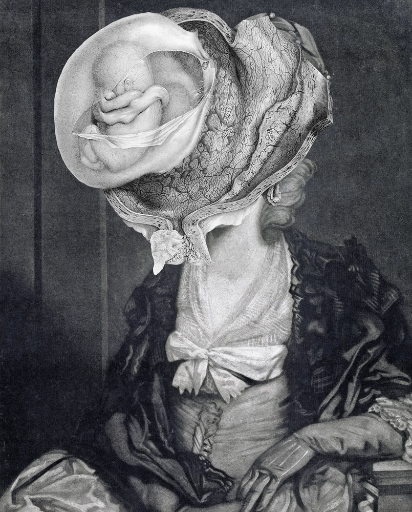 Still Lives Portraits The Morbid Portfolio image 18