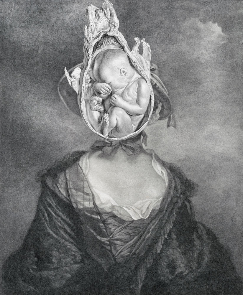 Still Lives Portraits The Morbid Portfolio image 20