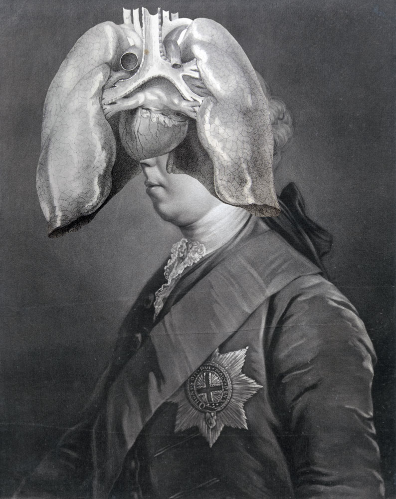 Still Lives Portraits The Morbid Portfolio image 24